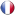 Lingua Francese